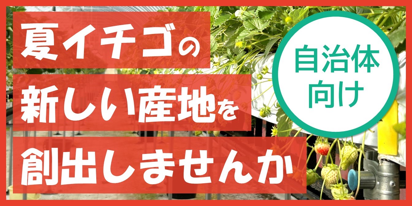 夏イチゴ産地創出農業振興移住定住所得向上生産性産地化ビジネスモデル連携協定