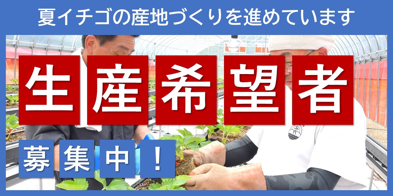 仙北市で夏イチゴ栽培新規就農希望の方向け支援
