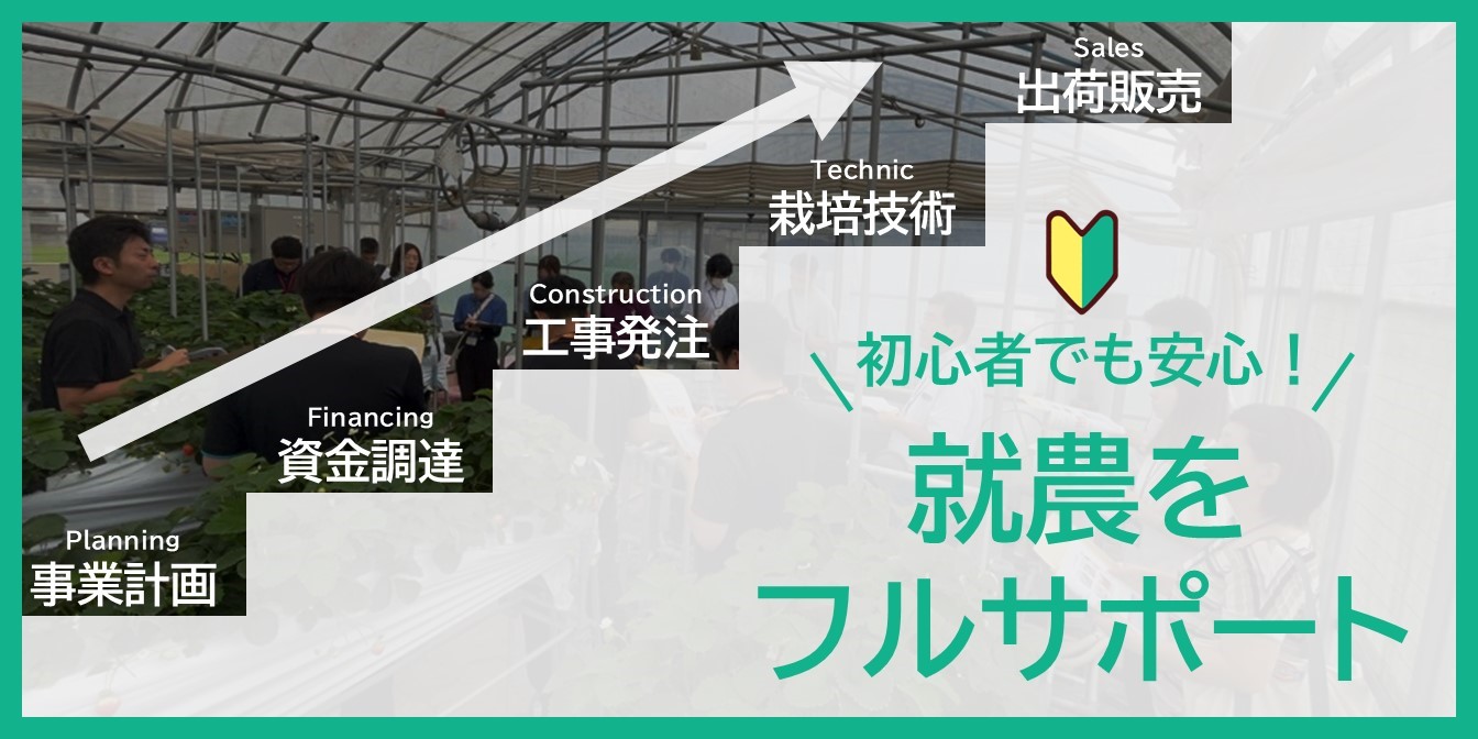 夏イチゴの就農支援