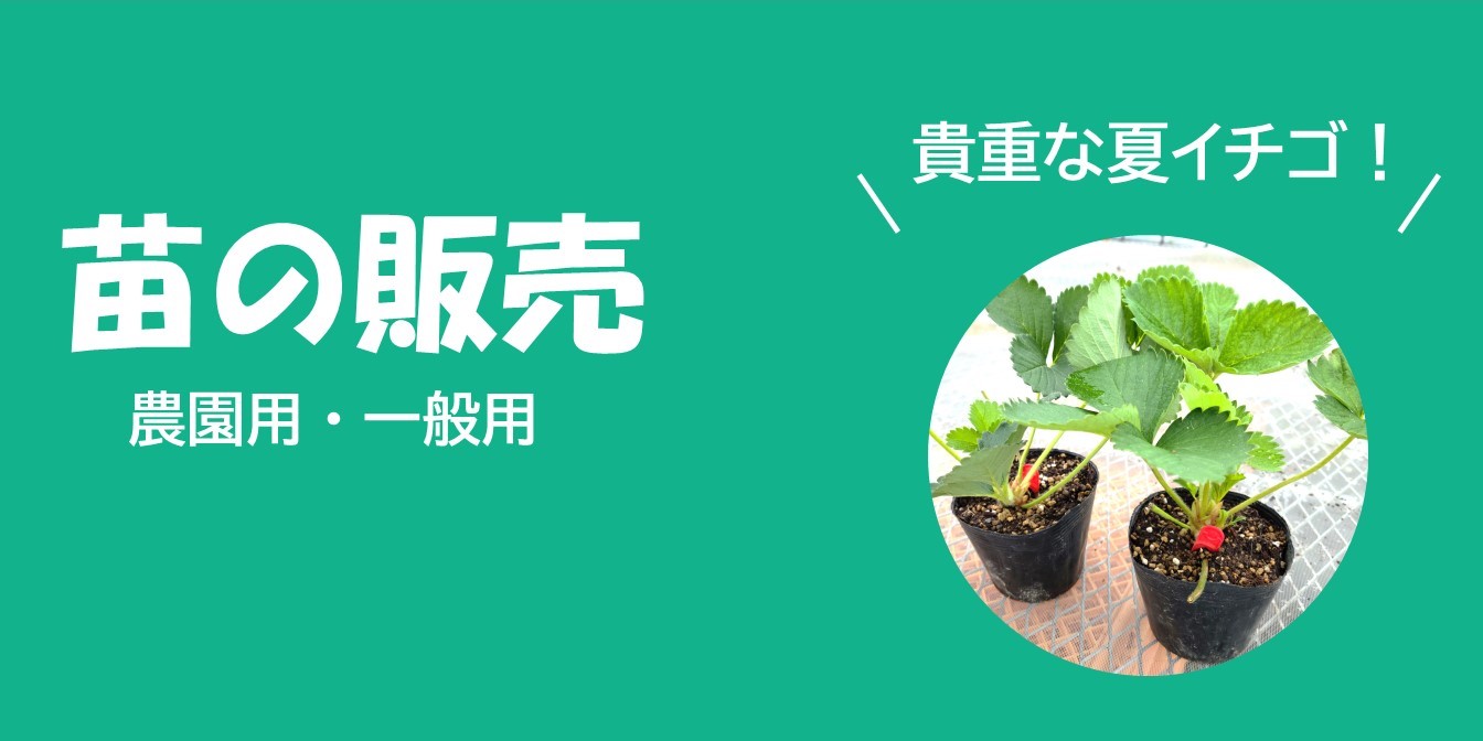 http://www.akita7215.nou-sapo.com/wp-content/uploads/2025/04/plantbanner_new.jpg