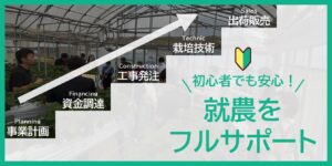 夏イチゴ就農支援