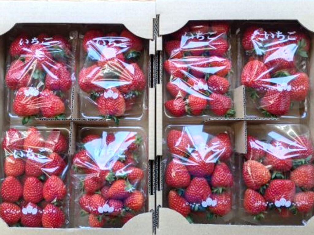イチゴの連携産直販売